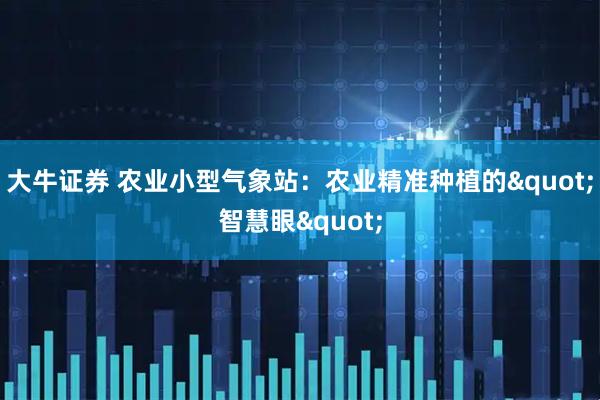 大牛证券 农业小型气象站：农业精准种植的"智慧眼"