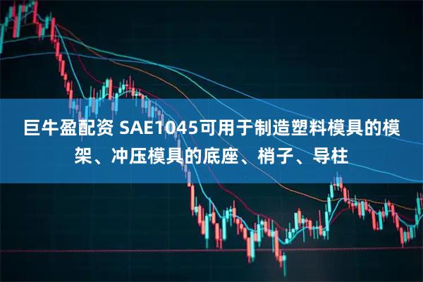 巨牛盈配资 SAE1045可用于制造塑料模具的模架、冲压模具的底座、梢子、导柱